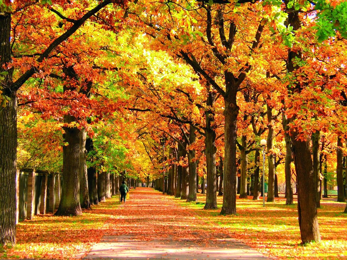 Отель Koidulapark Hotell Пярну